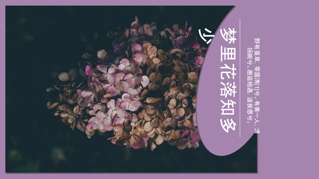 Moody Purple Floral Elegance Presentation Template