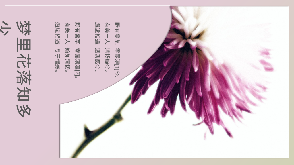 Template cover